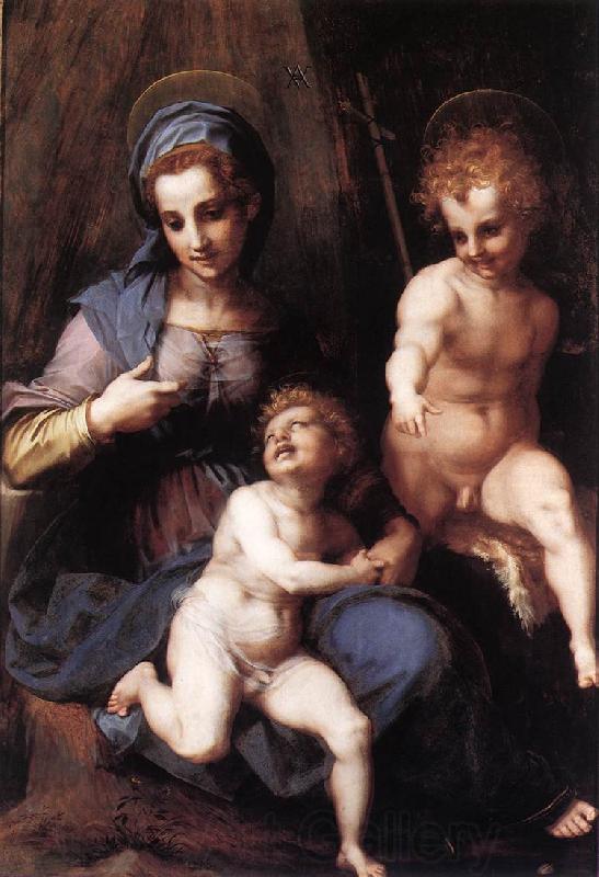 Andrea del Sarto Madonna and Child with the Young St John Norge oil painting art